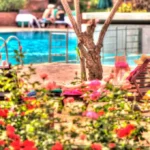 Hotel-Farah-Marrakech-ott-holidays-04