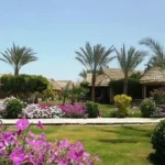 Panorama-Bungalows-Resort-El-Gouna-ott-holidays-07